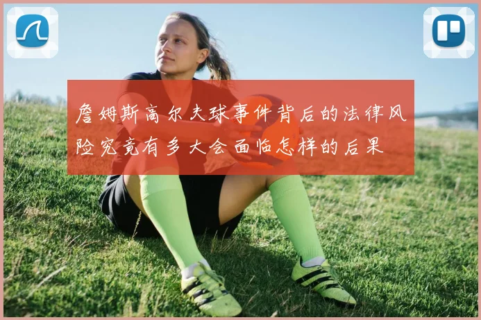 詹姆斯高尔夫球事件背后的法律风险究竟有多大会面临怎样的后果